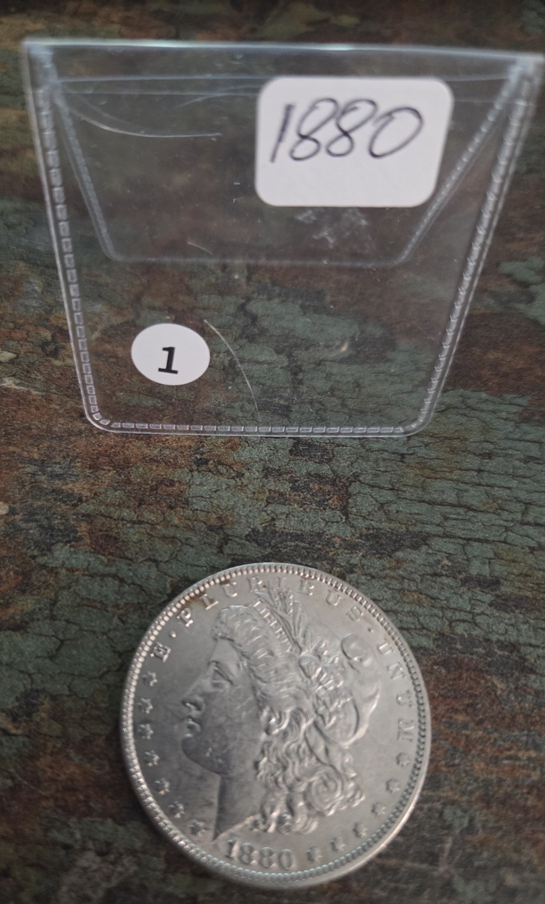 1880 Morgan Dollar